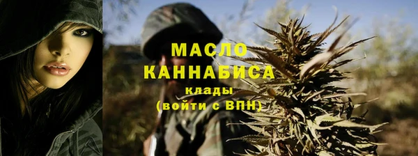 apvp Ельня